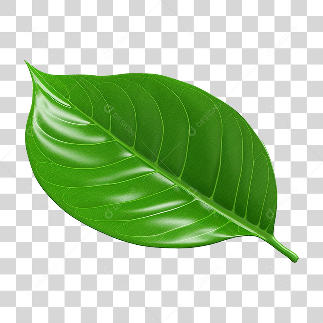 Folha Verde PNG Transparente
