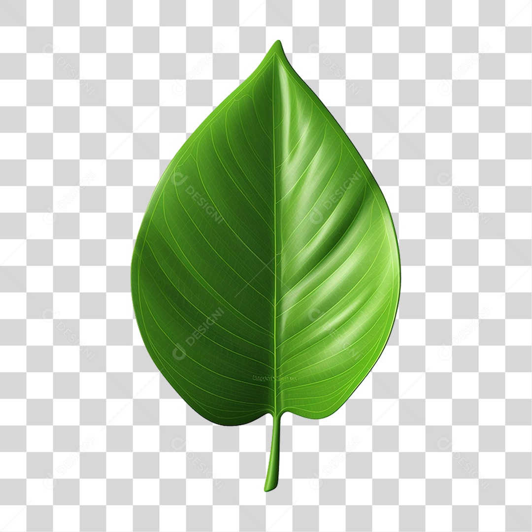 Folha Verde PNG Transparente