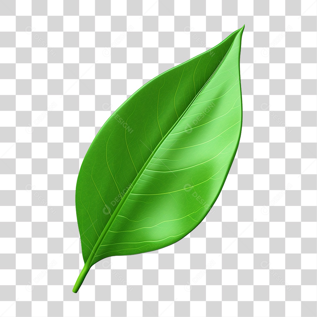 Folha Verde PNG Transparente