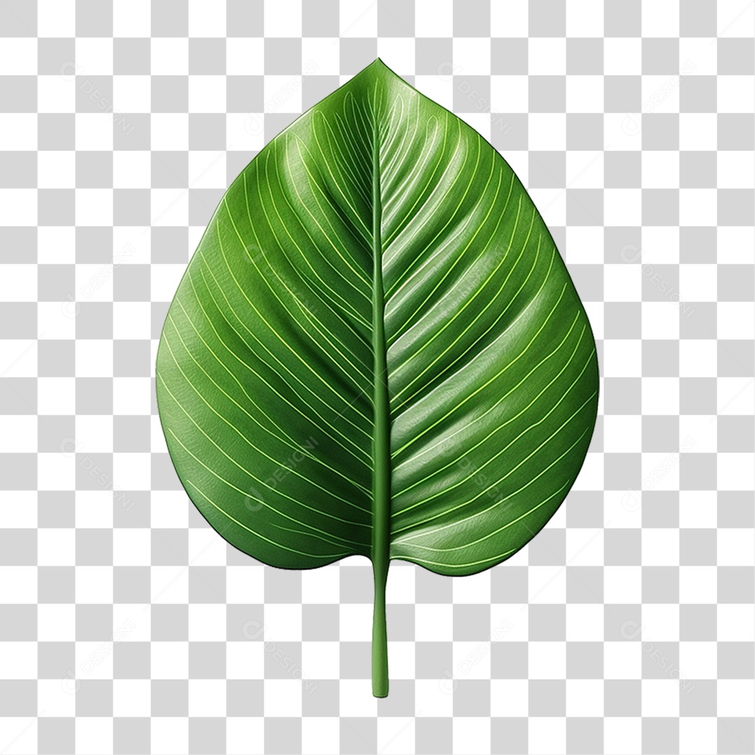 Folha Verde PNG Transparente