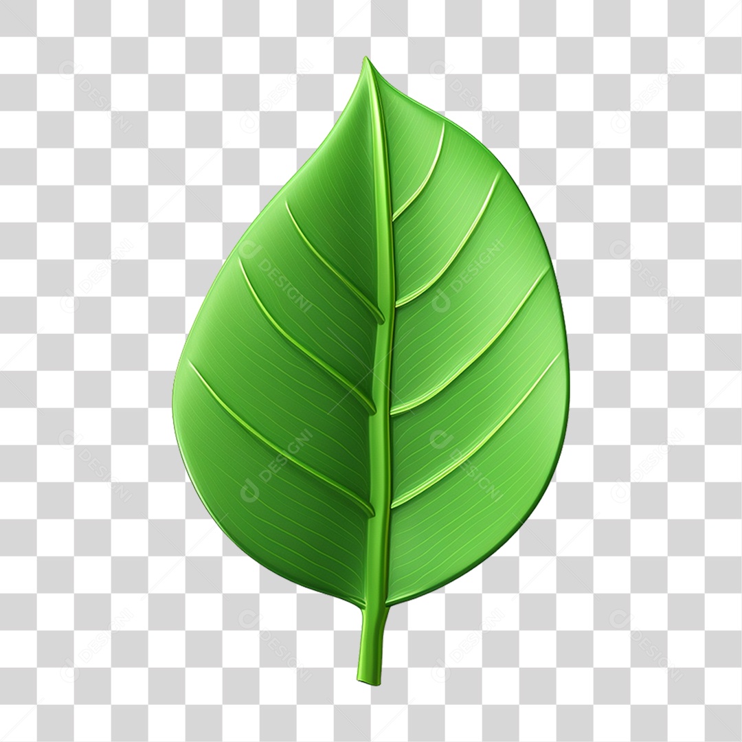 Folha Verde PNG Transparente