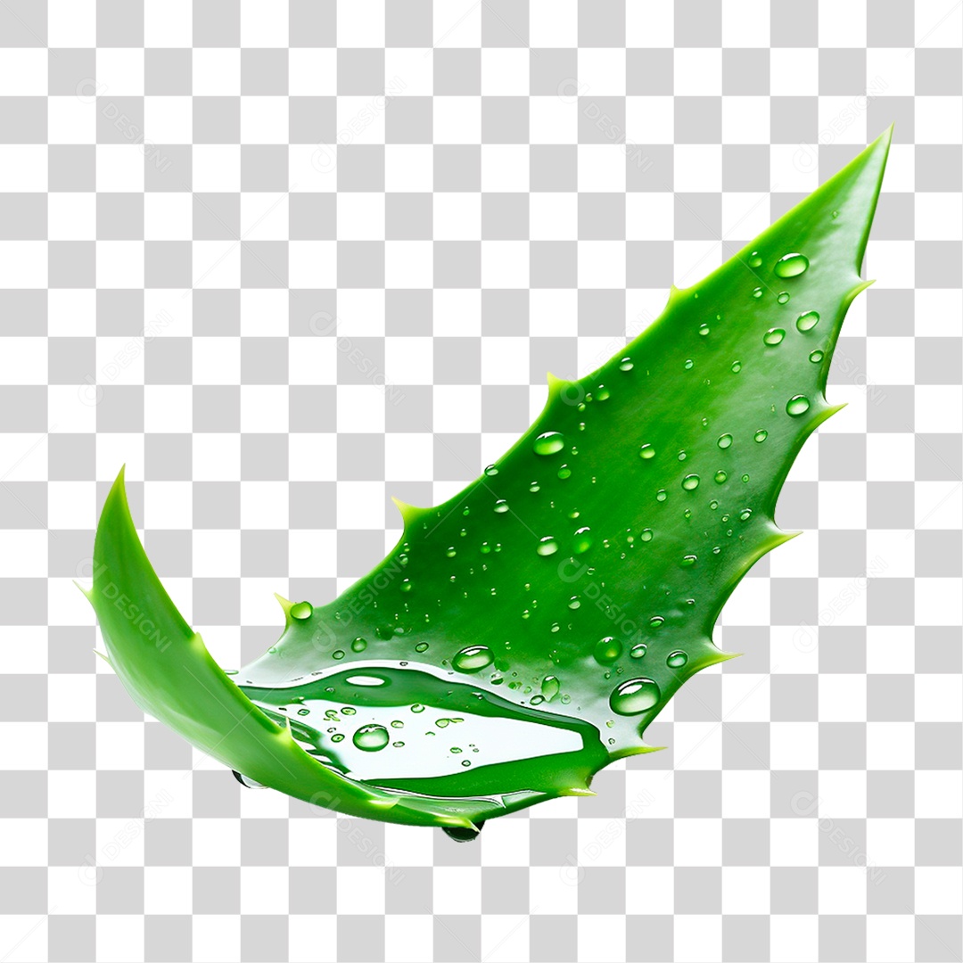 Babosa PNG Transparente