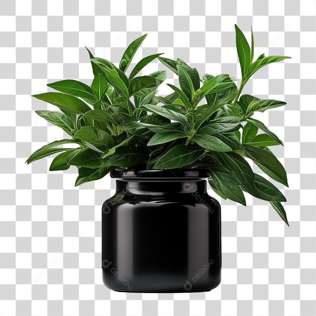 Muda de Planta em Recipiente Preto PNG Transparente