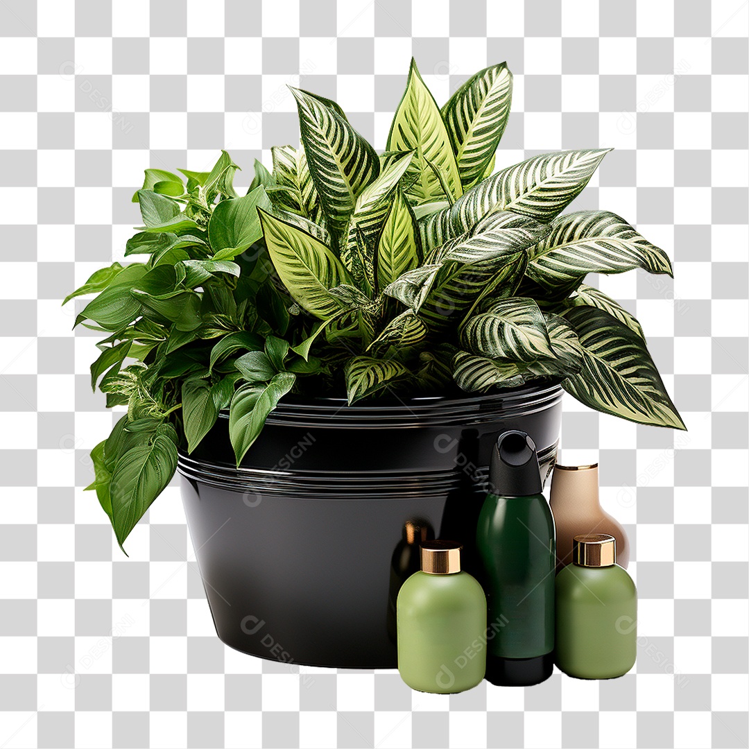 Muda de Planta em Recipiente Preto PNG Transparente