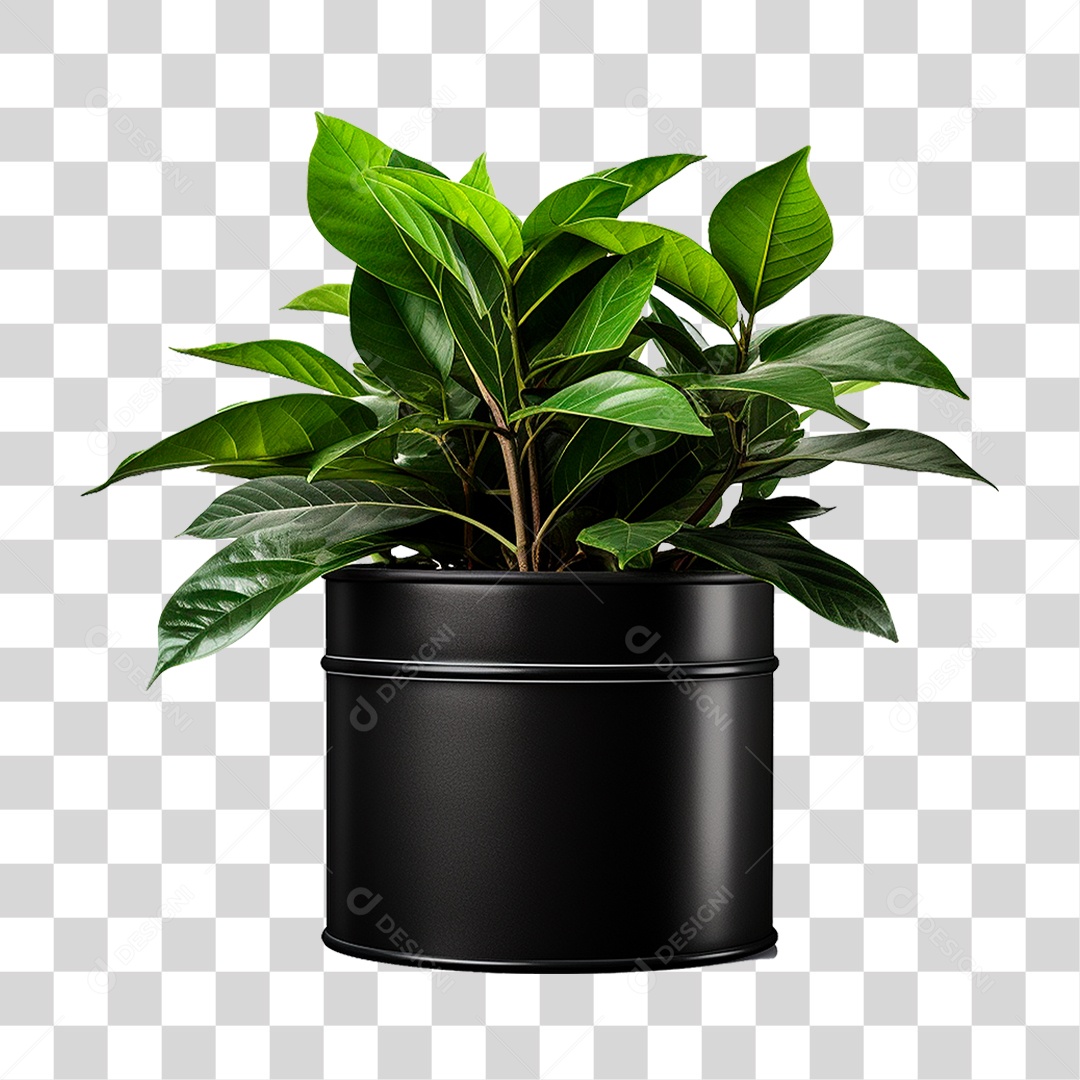 Muda de Planta em Recipiente Preto PNG Transparente