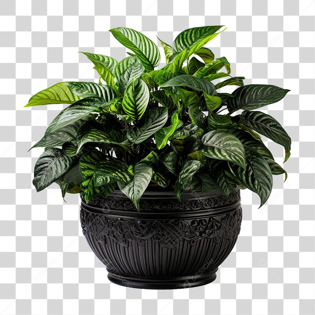 Muda de Planta em Recipiente Preto PNG Transparente