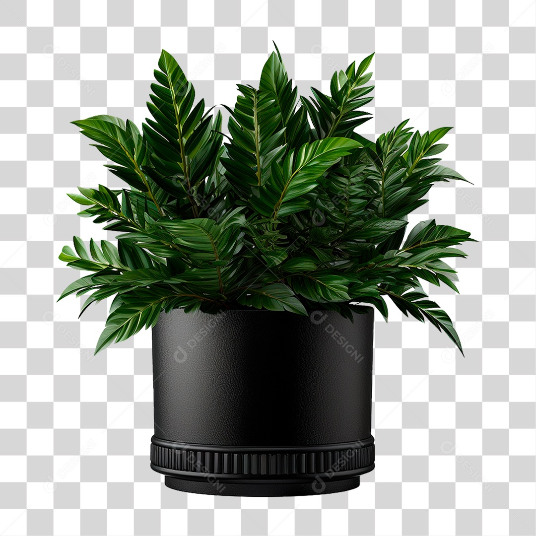 Muda de Planta em Recipiente Preto PNG Transparente