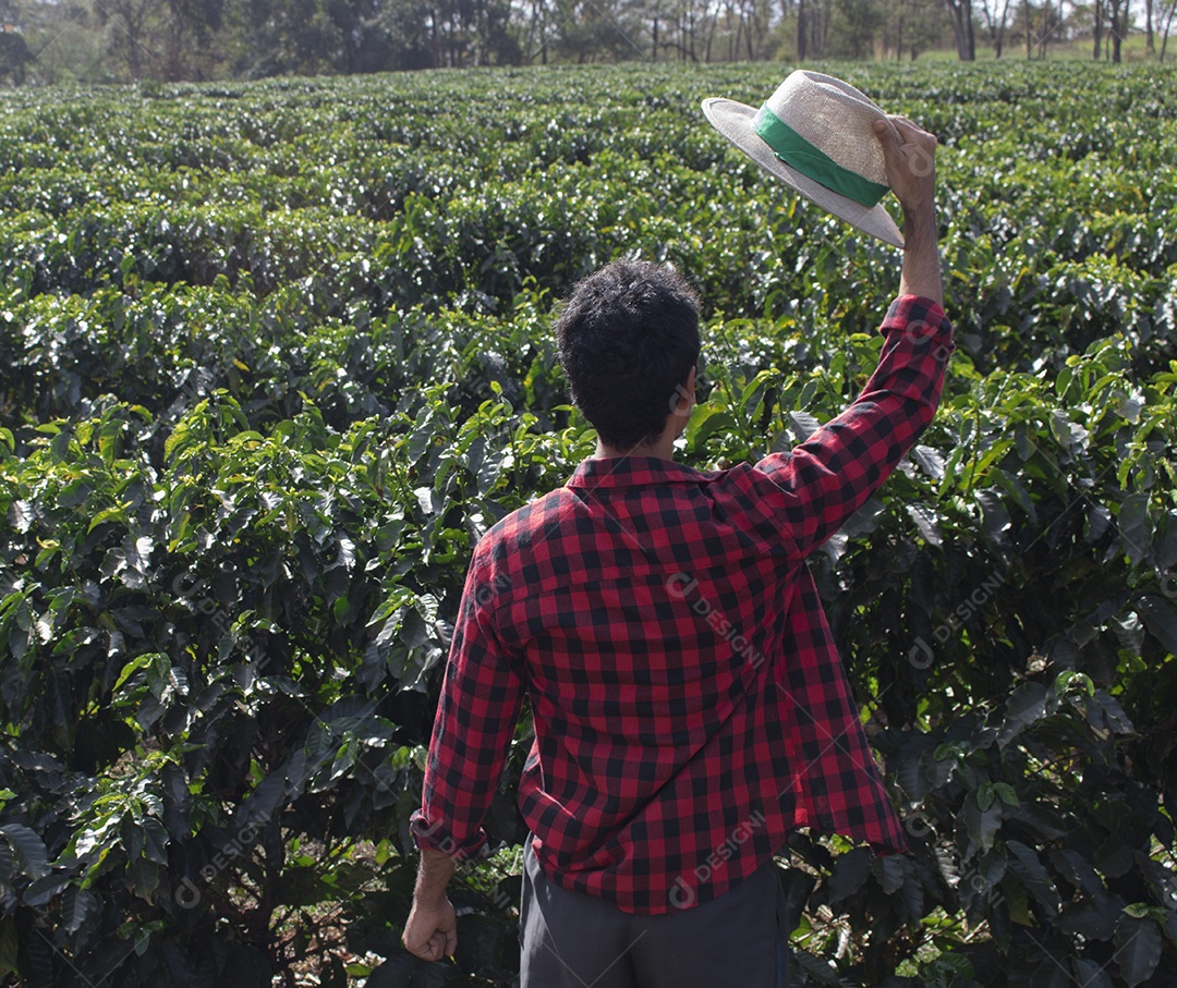 Agricultor com chapéu em paisagem de campo de plantação de café