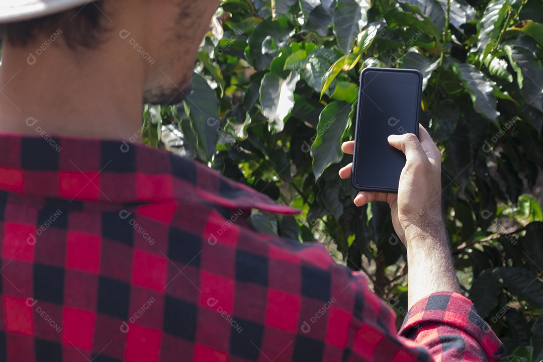 Agricultor analisando plantação de café com tecnologia avançada