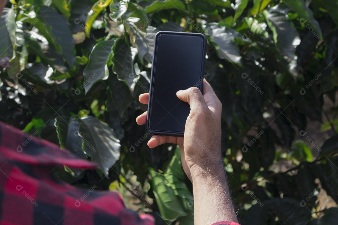Agricultor analisando plantação de café com tecnologia avançada