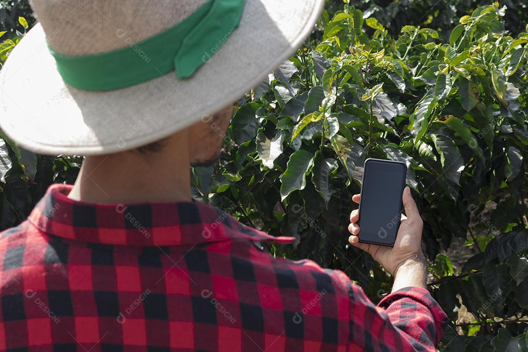 Agricultor em plantação de café