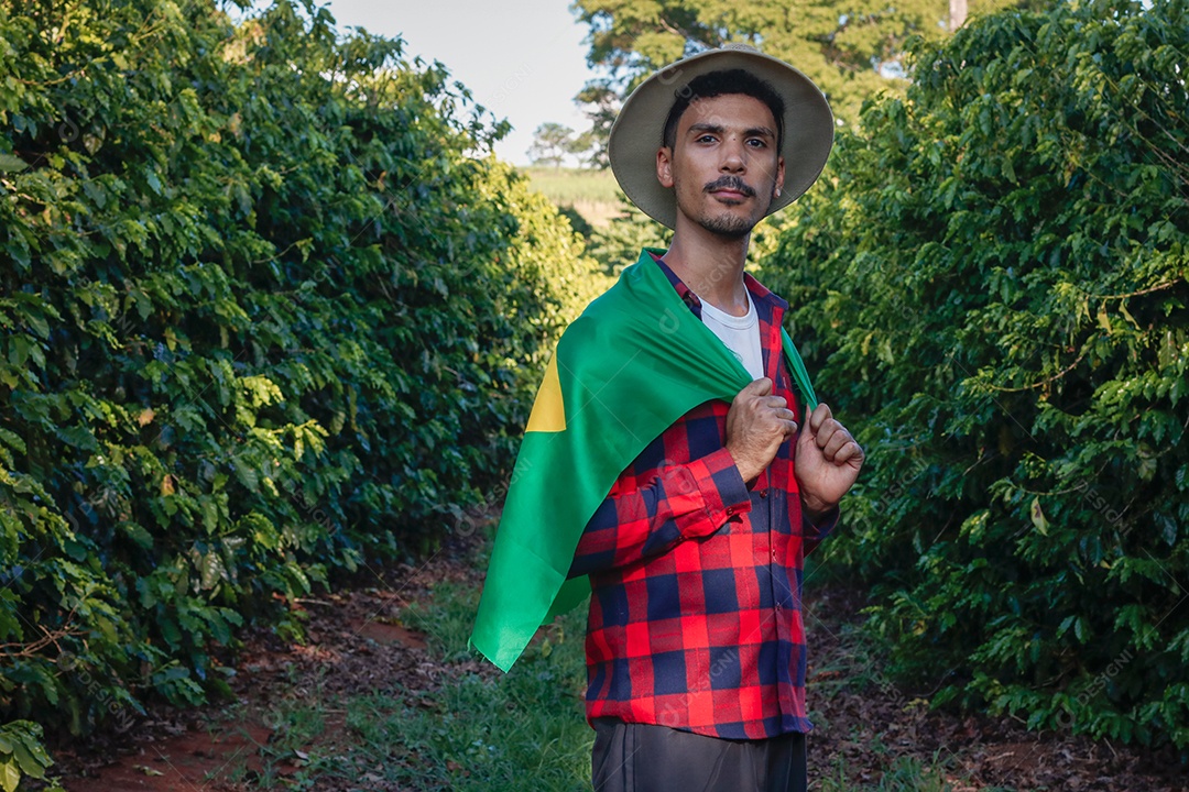 Agricultor em plantação de café segurando uma bandeira brasileira