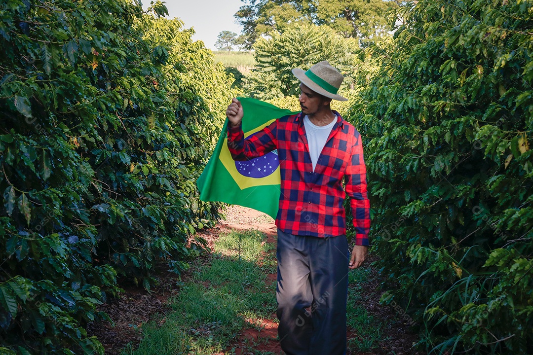 Agricultor em plantação de café segurando uma bandeira brasileira