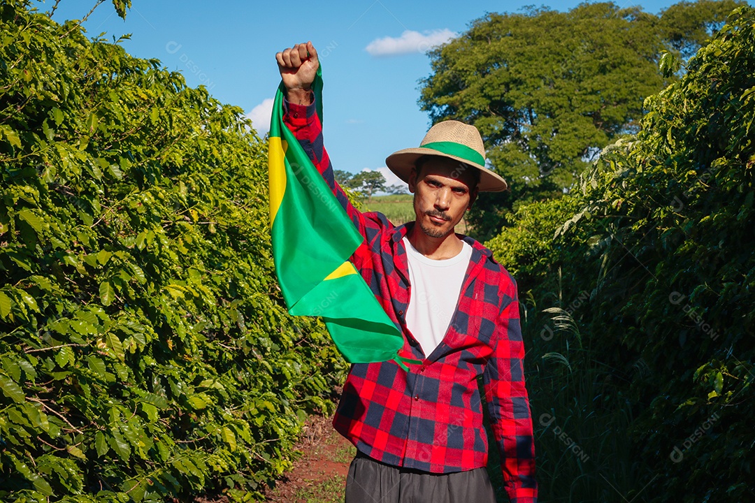 Agricultor em plantação de café segurando uma bandeira brasileira