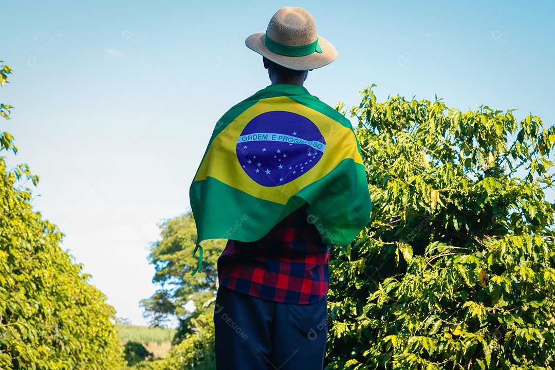 Agricultor em plantação de café segurando uma bandeira brasileira