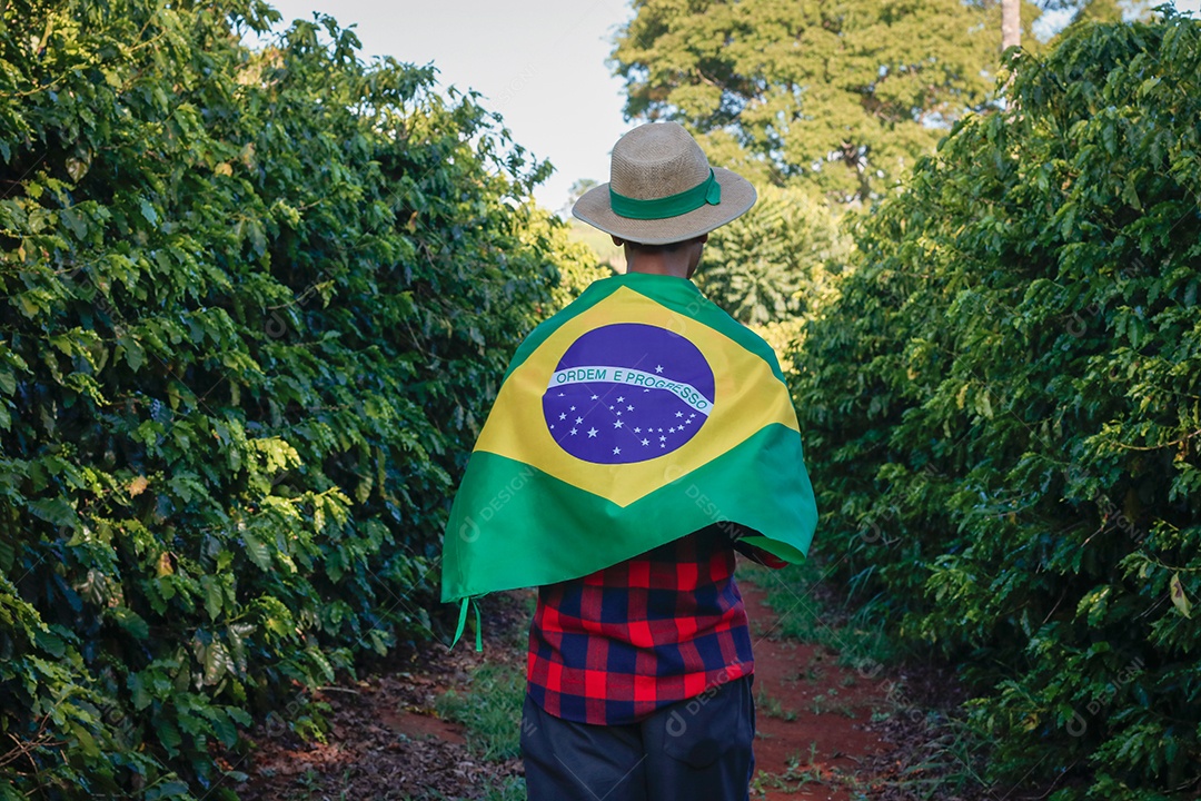 Agricultor em plantação de café segurando uma bandeira brasileira