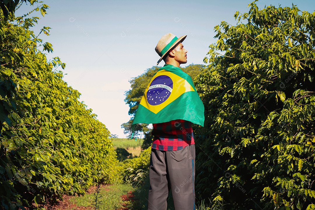 Agricultor em plantação de café segurando uma bandeira brasileira