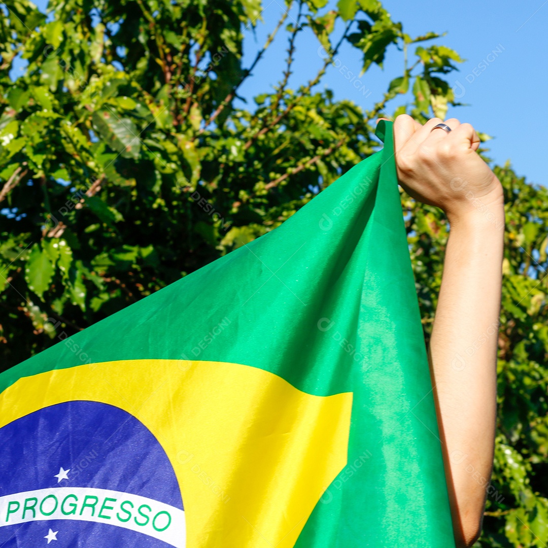 Segurando a bandeira brasileira ao vento