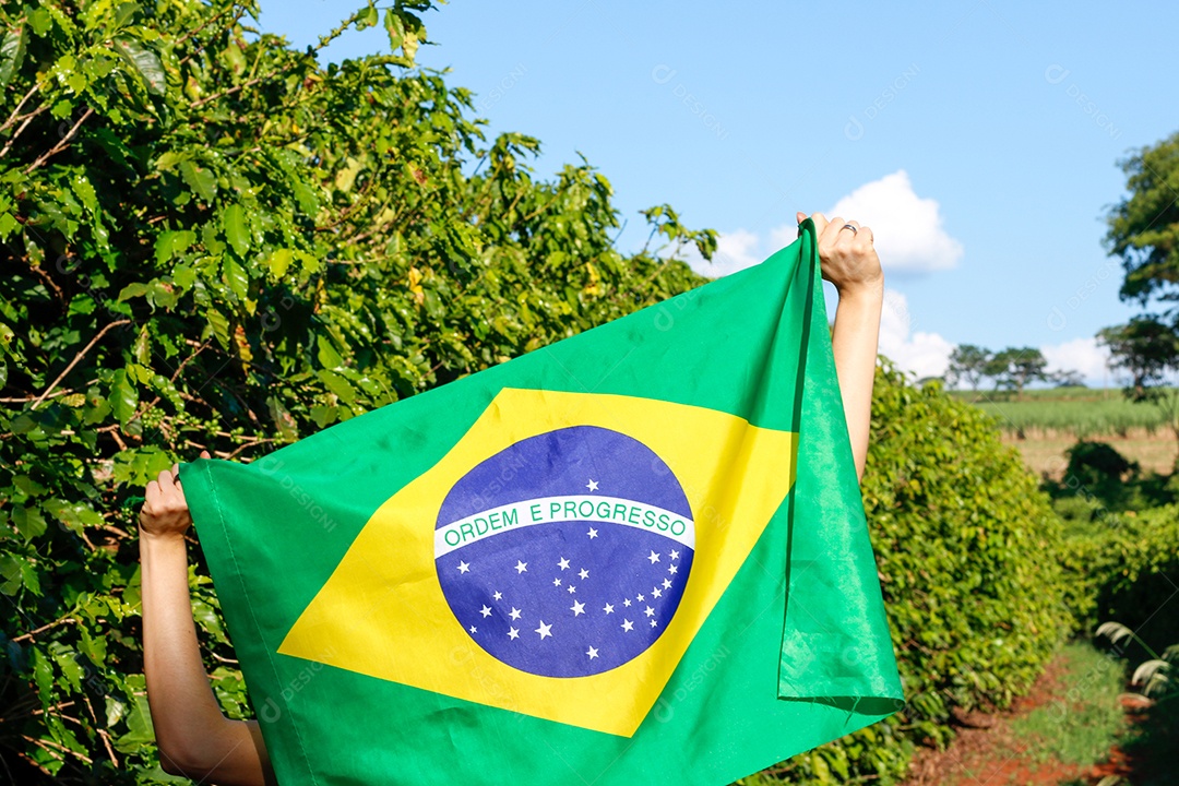 Segurando a bandeira brasileira ao vento