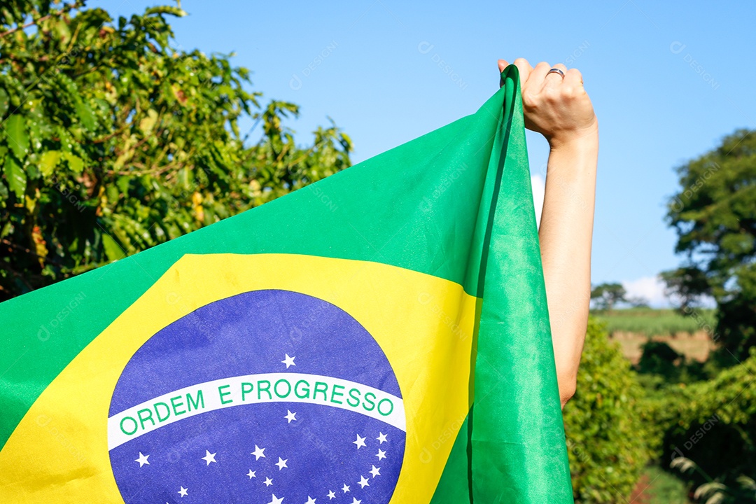 Segurando a bandeira brasileira ao vento