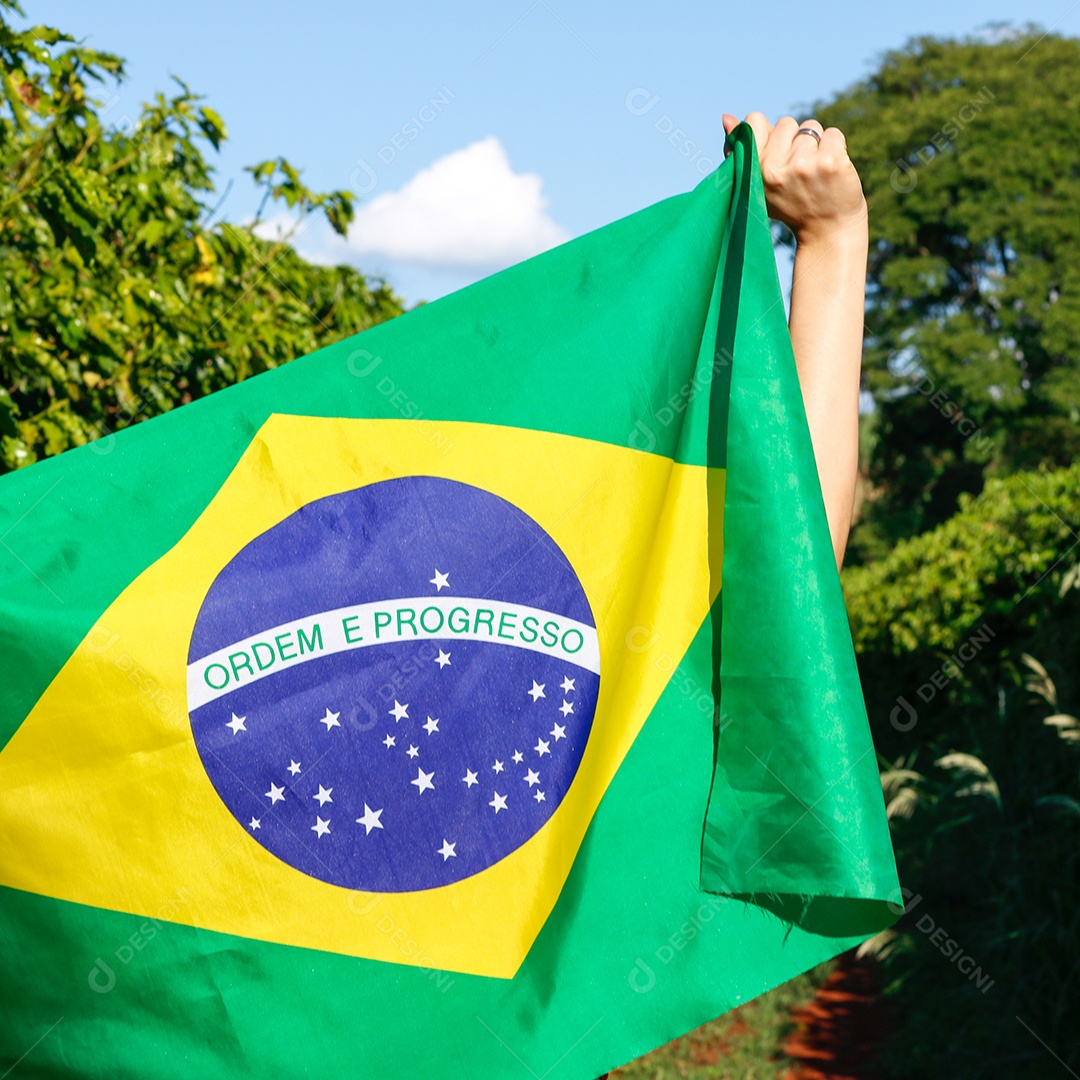 Segurando a bandeira brasileira ao vento