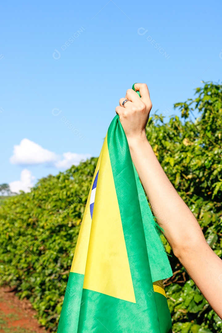Segurando a bandeira brasileira ao vento