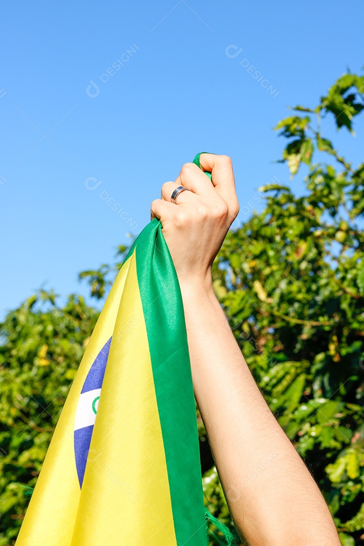 Segurando a bandeira brasileira ao vento
