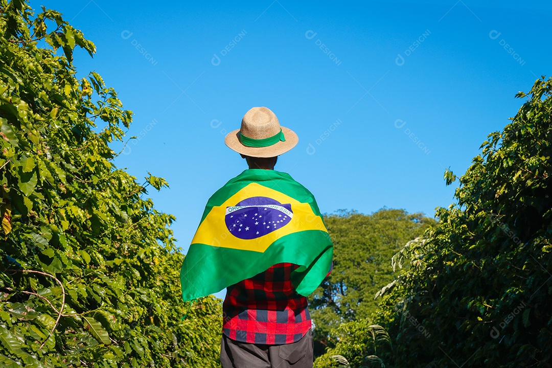 Agricultor em plantação de café segurando uma bandeira brasileira