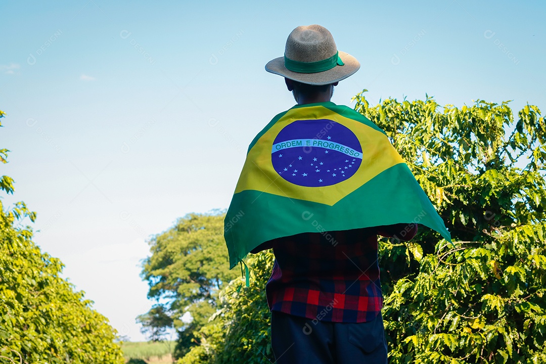 Agricultor em plantação de café segurando uma bandeira brasileira
