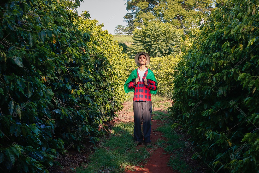 Agricultor em plantação de café segurando uma bandeira brasileira