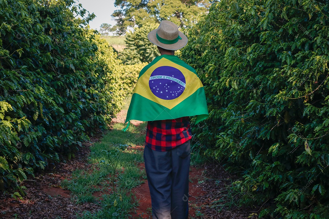 Agricultor em plantação de café segurando uma bandeira brasileira