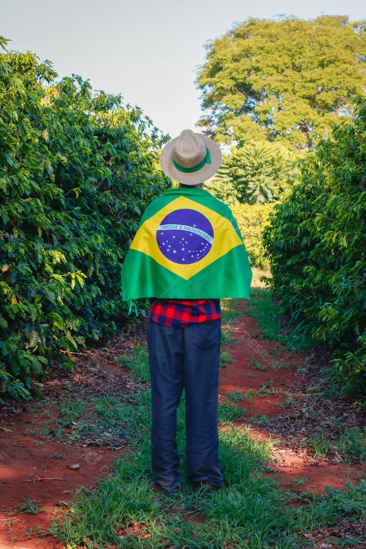 Agricultor em plantação de café segurando uma bandeira brasileira