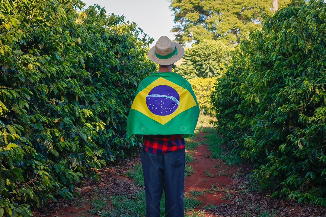 Agricultor em plantação de café segurando uma bandeira brasileira