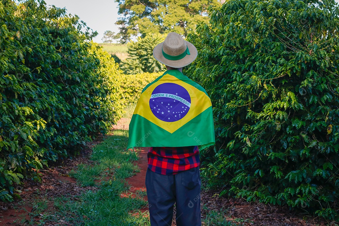 Agricultor em plantação de café segurando uma bandeira brasileira