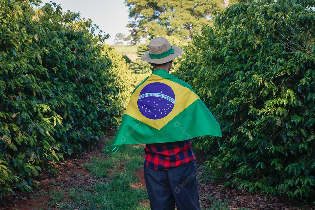 Agricultor em plantação de café segurando uma bandeira brasileira