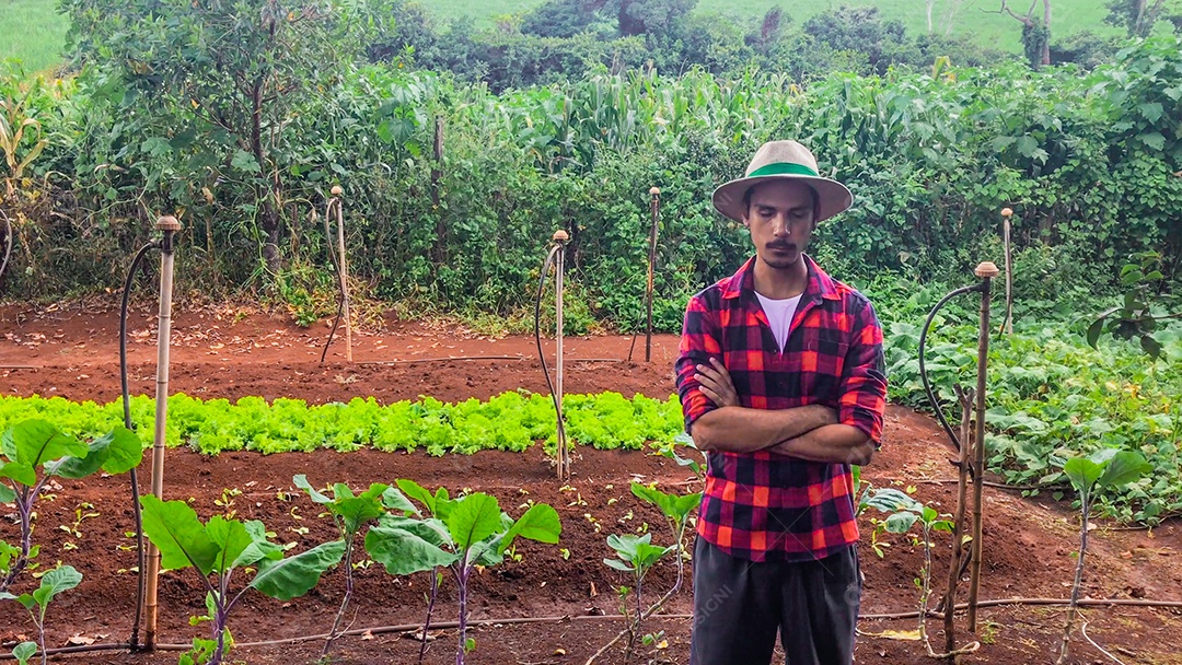 Agricultor ou trabalhador com chapéu em plantação de alface