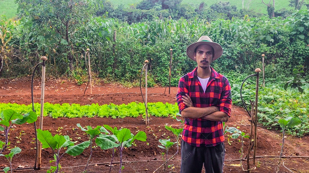Agricultor ou trabalhador com chapéu em plantação de alface