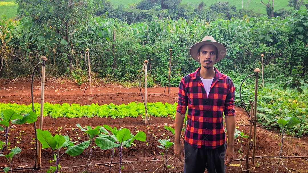 Agricultor ou trabalhador com chapéu em plantação de alface