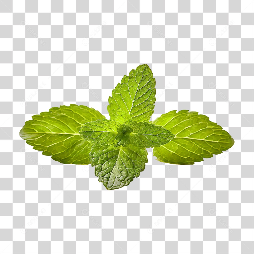 Folhas de Hortelã Verdes PNG Transparente
