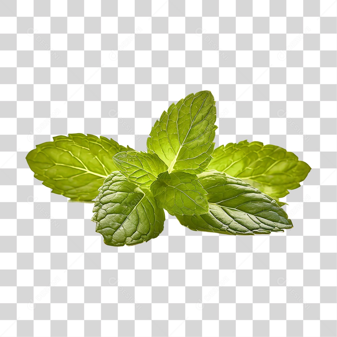 Green Mint Leaves Transparent PNG