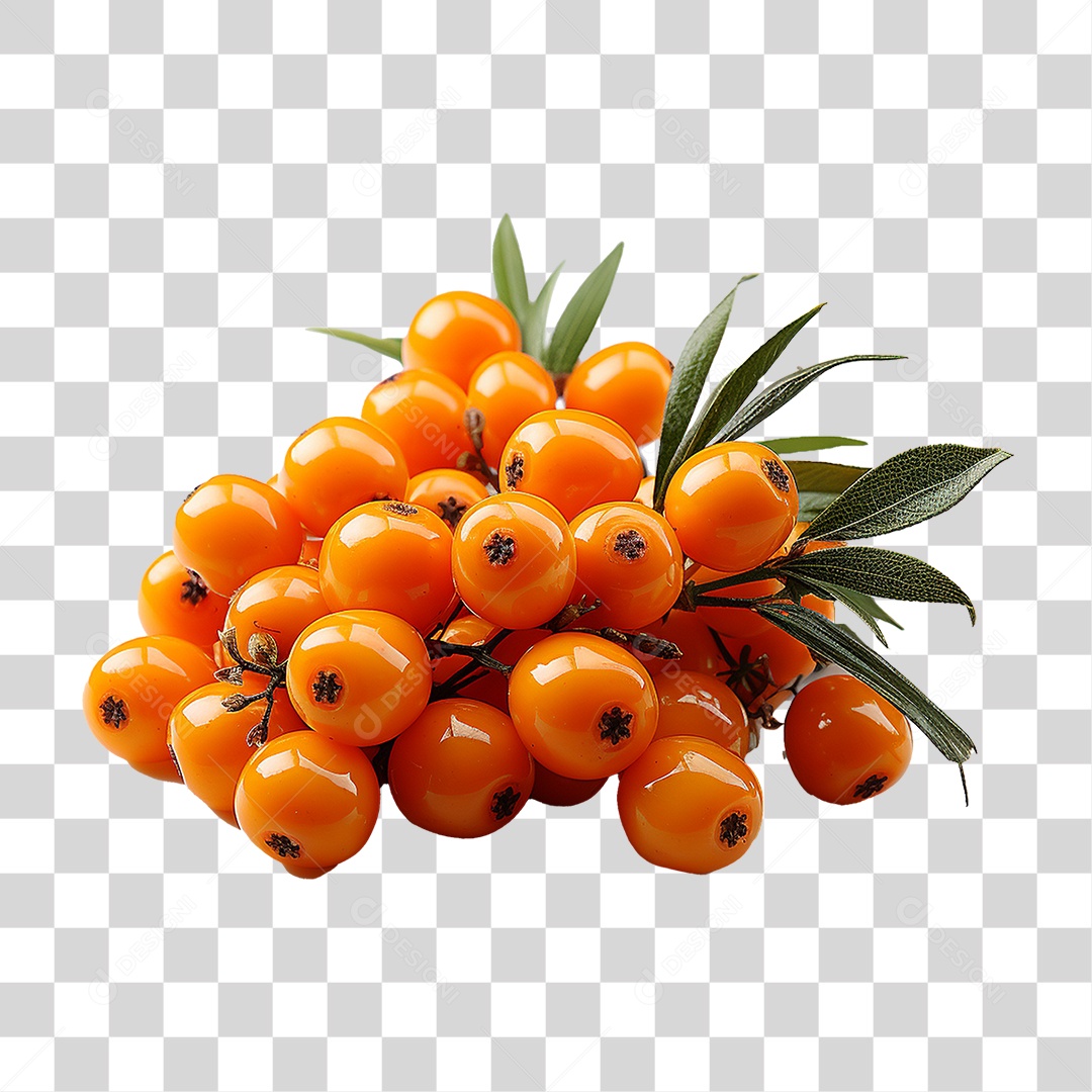 Fruto do Espinheiro-marítimo PNG Transparente