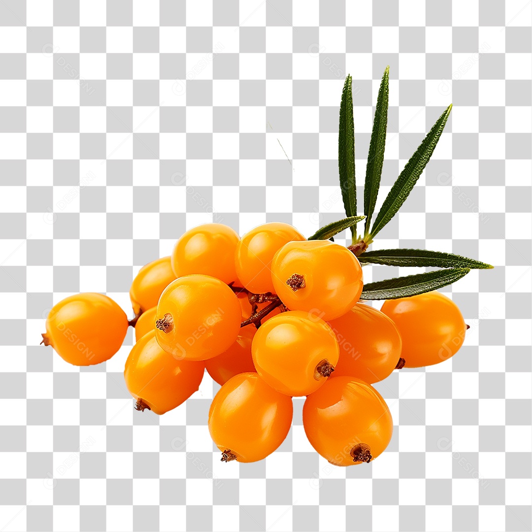 Fruto do Espinheiro-marítimo PNG Transparente