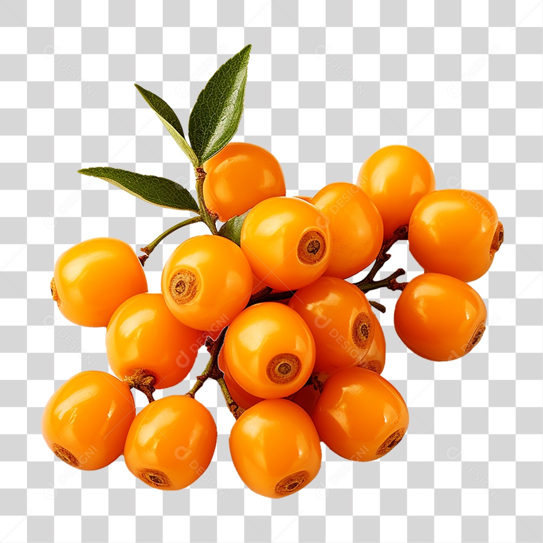 Fruto do Espinheiro-marítimo PNG Transparente