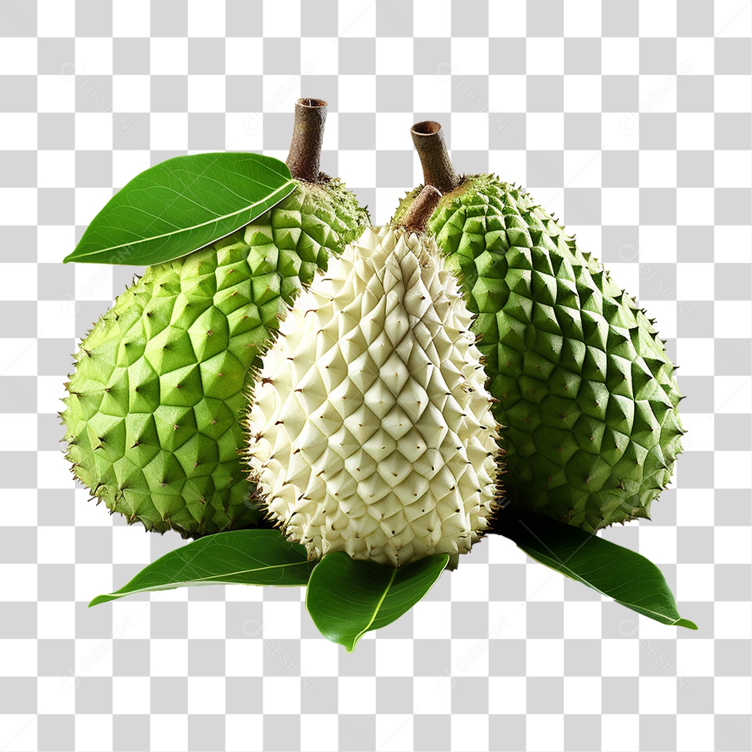 Fruta Graviola PNG Transparente