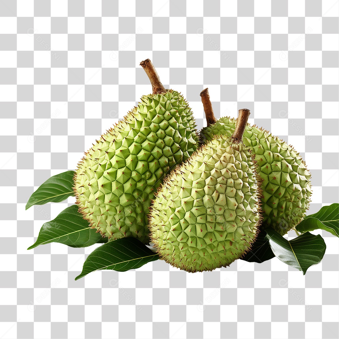 Fruta Graviola PNG Transparente