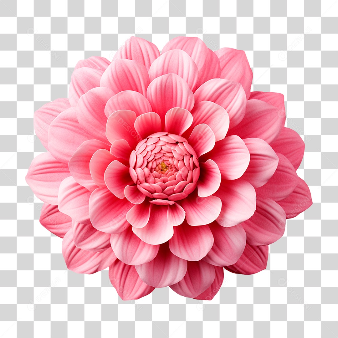 Flores Rosas Plantas PNG Transparente