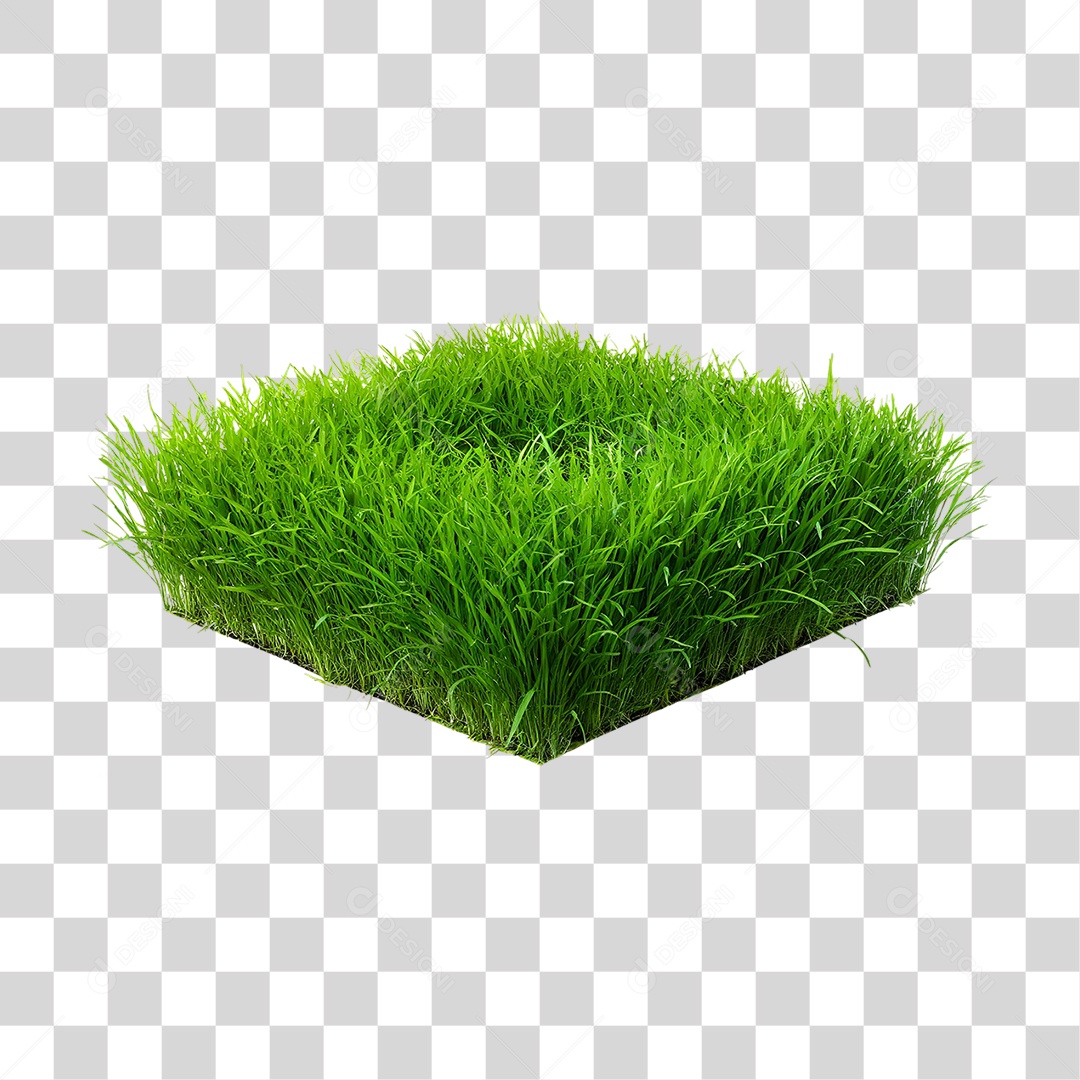 Arbusto de Grama com Formato Quadrado PNG Transparente
