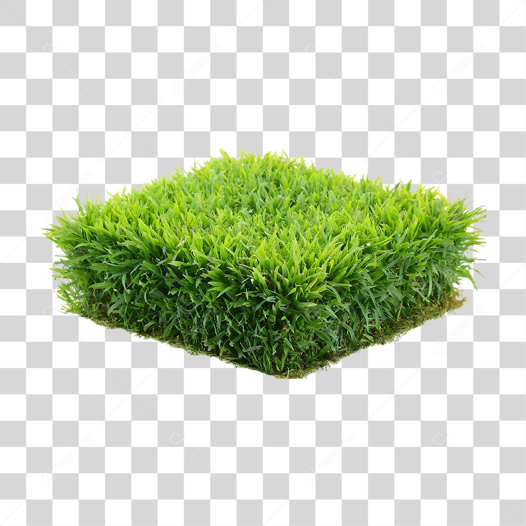 Arbusto de Grama com Formato Quadrado PNG Transparente