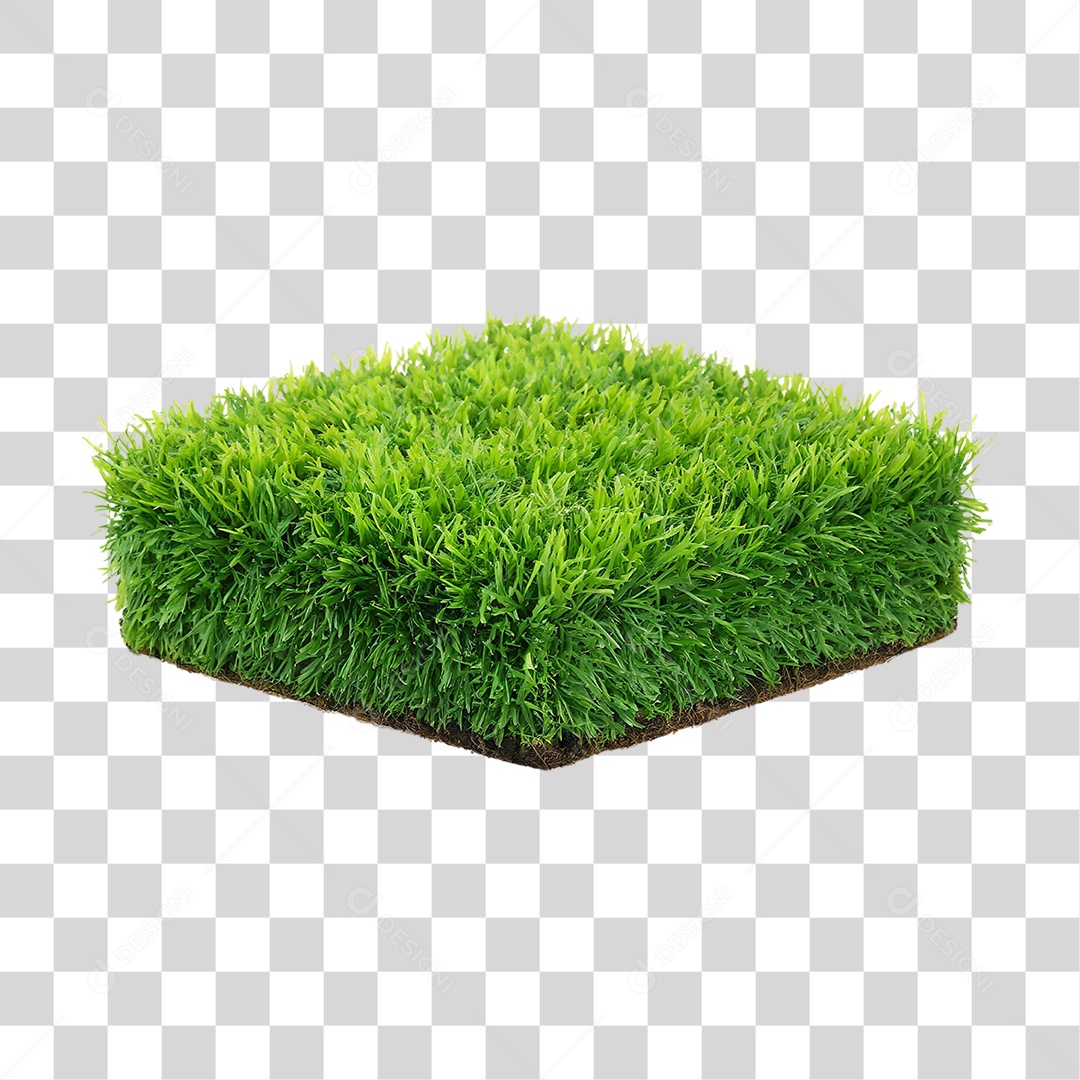 Arbusto de Grama com Formato Quadrado PNG Transparente