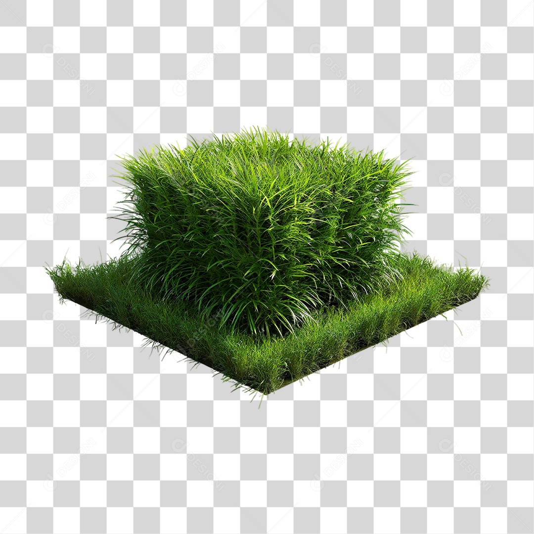 Arbusto de Grama com Formato Quadrado PNG Transparente